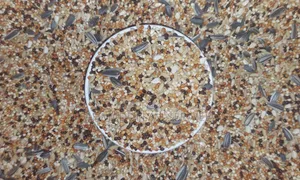 Seed Mix (Premium Quality)