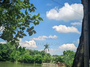 রিয়েলমি এক্স৭ ১২৮ জিবি ব্ল্যাক