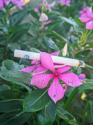 রিয়েলমি এক্স৭ ১২৮ জিবি ব্ল্যাক