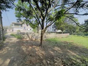 রাজশাহীর অচিন্ত তলায় ৬ কাটা জমি বিক্রয়
