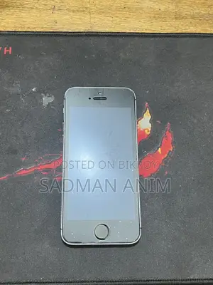 Apple iPhone 5s 16 GB Silver