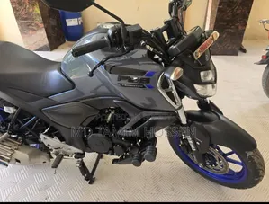 Yamaha FZS V3 2023 Brown