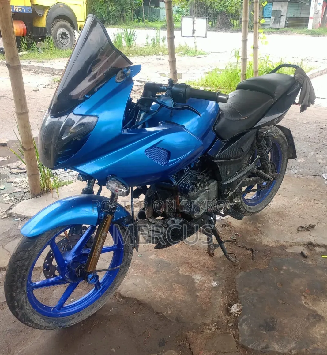 বাজাজ পালসার ১৫০ ২০১৩ নীল