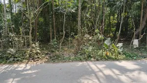 জমি বিক্রি