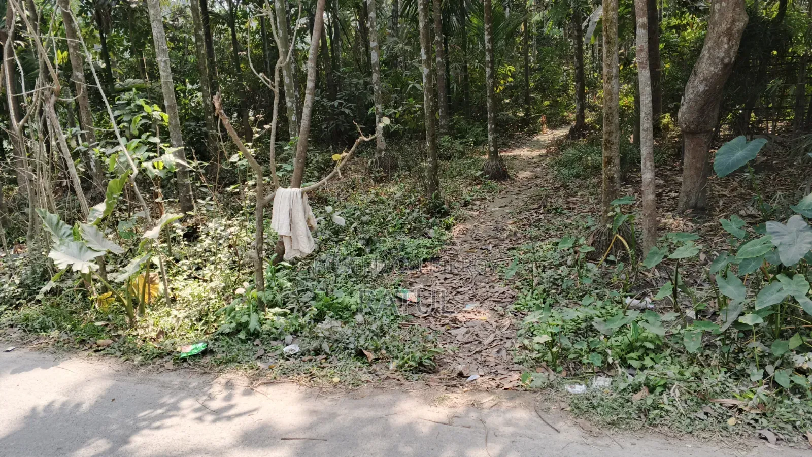 জমি বিক্রি