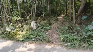 জমি বিক্রি