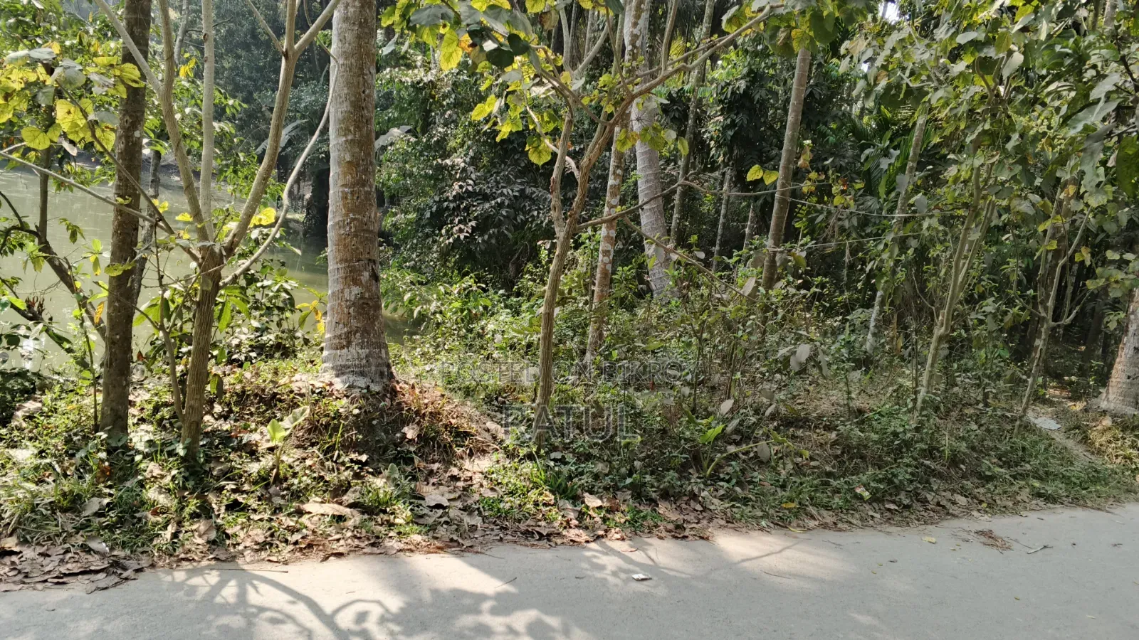 জমি বিক্রি