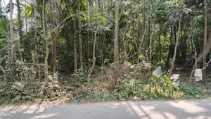জমি বিক্রি