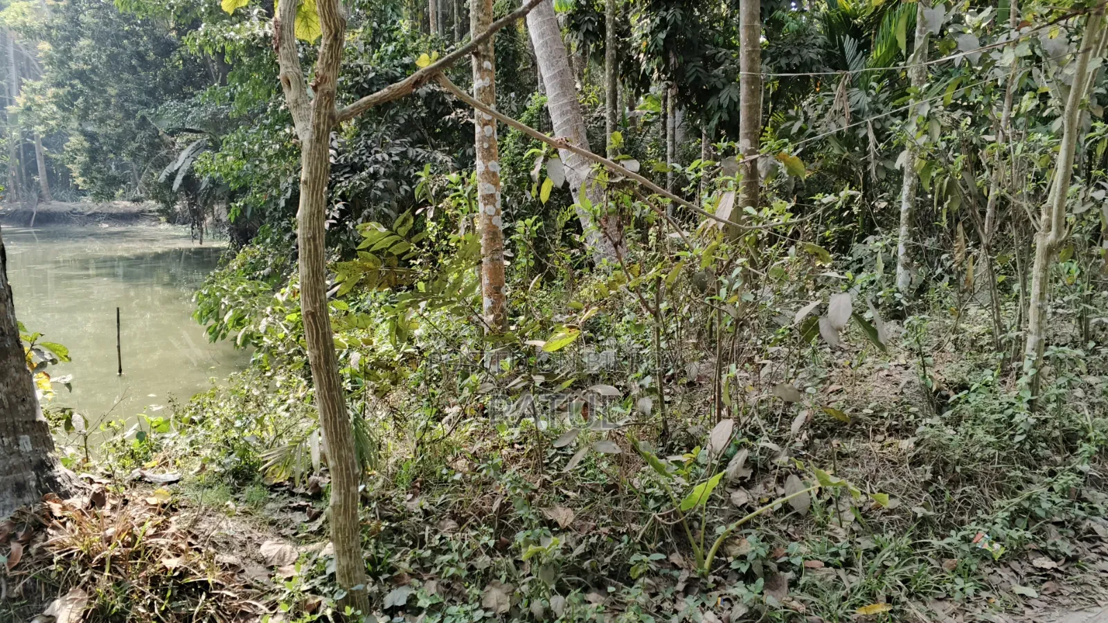 জমি বিক্রি
