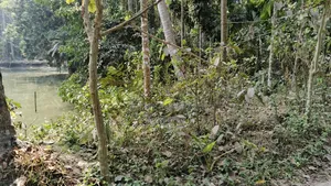 জমি বিক্রি