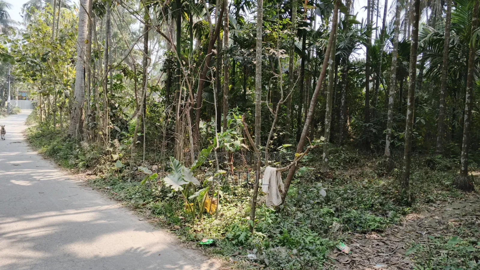 জমি বিক্রি