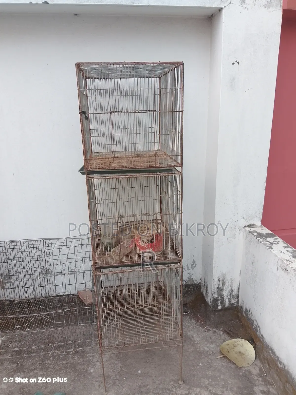 Bird Cage