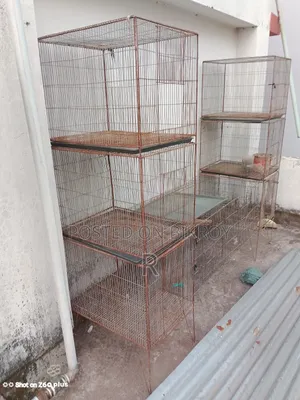 Bird Cage
