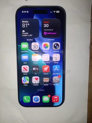 অ্যাপল আইফোন ১৭ প্রো ২৫৬ জিবি ব্লু