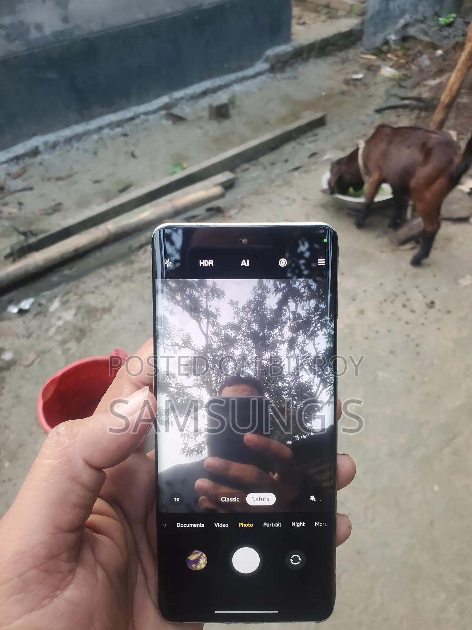 শাওমি সিভি ১এস ২৫৬ জিবি ব্রোঞ্জ