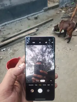 শাওমি সিভি ১এস ২৫৬ জিবি ব্রোঞ্জ
