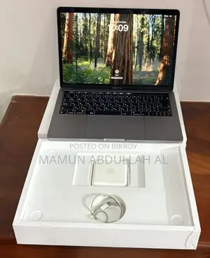 ল্যাপটপ অ্যাপল ম্যাকবুক প্রো ২০১৯ ৮জিবি ইন্টেল কোর আই৫ এসএসডি ২৫৬জিবি