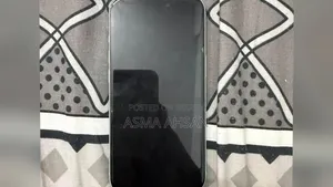 অ্যাপল আইফোন ১৫ ১২৮ জিবি