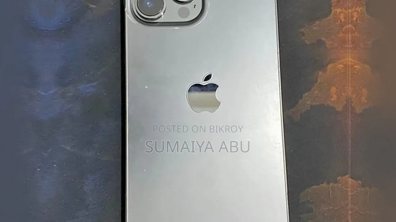 Apple iPhone 13 Pro Max 256 GB Gray