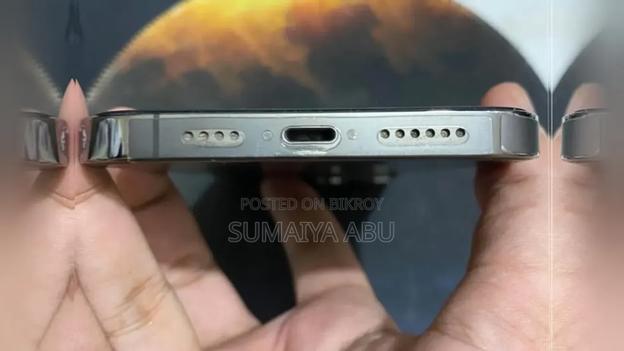 Apple iPhone 13 Pro Max 256 GB Gray