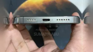 Apple iPhone 13 Pro Max 256 GB Gray