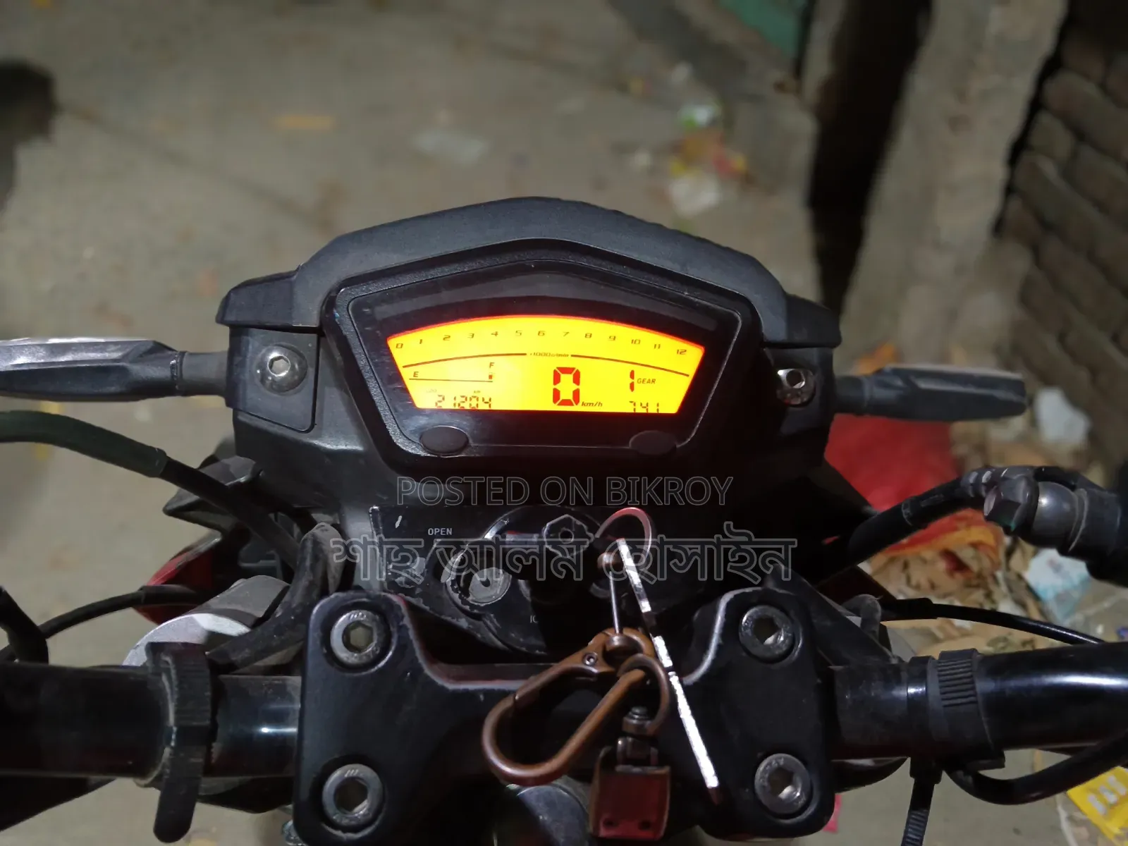 Runner Bolt 165R 2021 Red