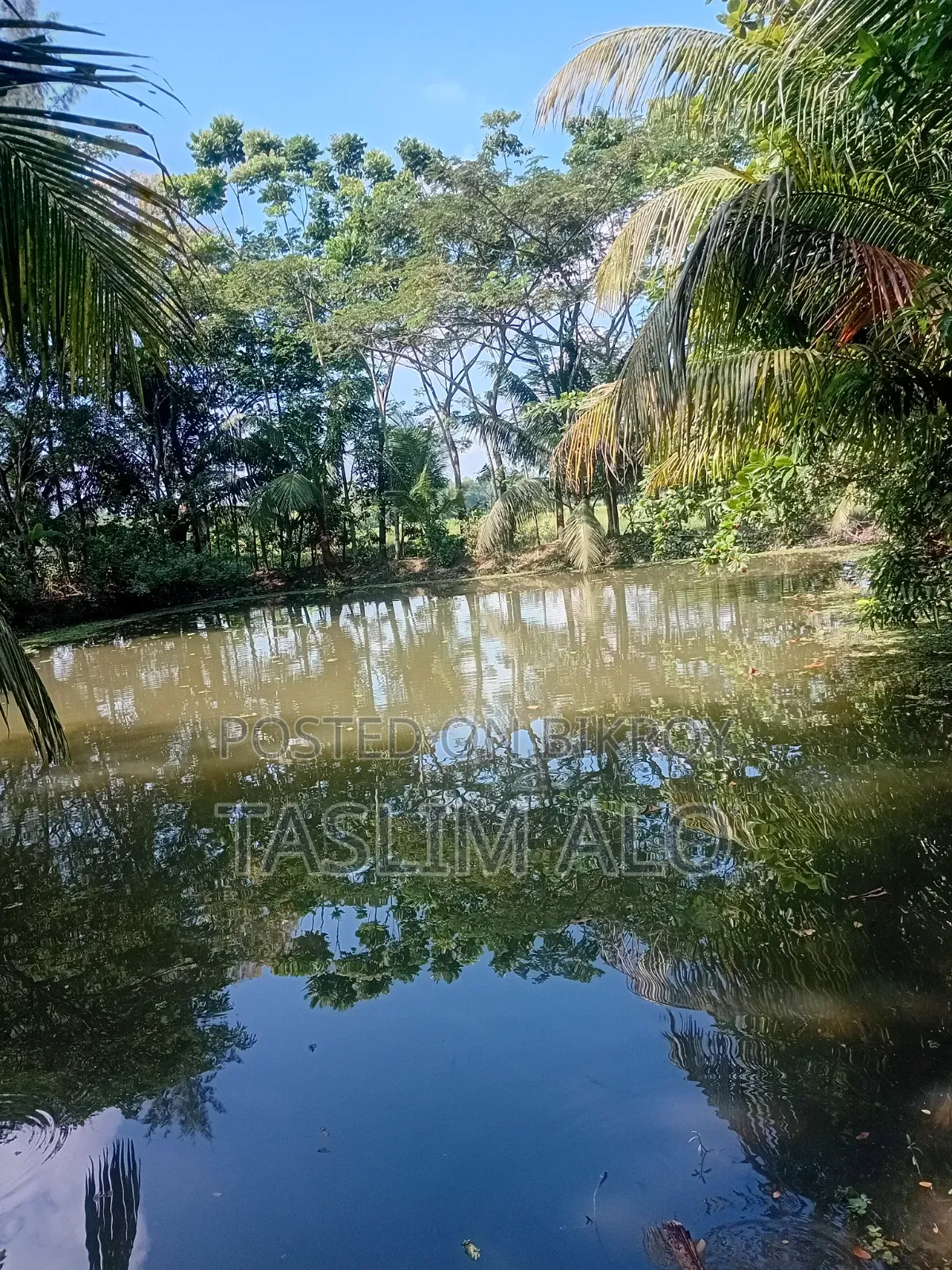 জায়গা বিক্রি