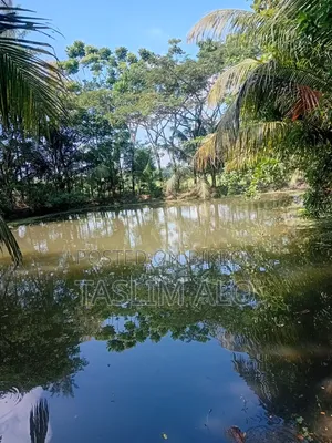 জায়গা বিক্রি