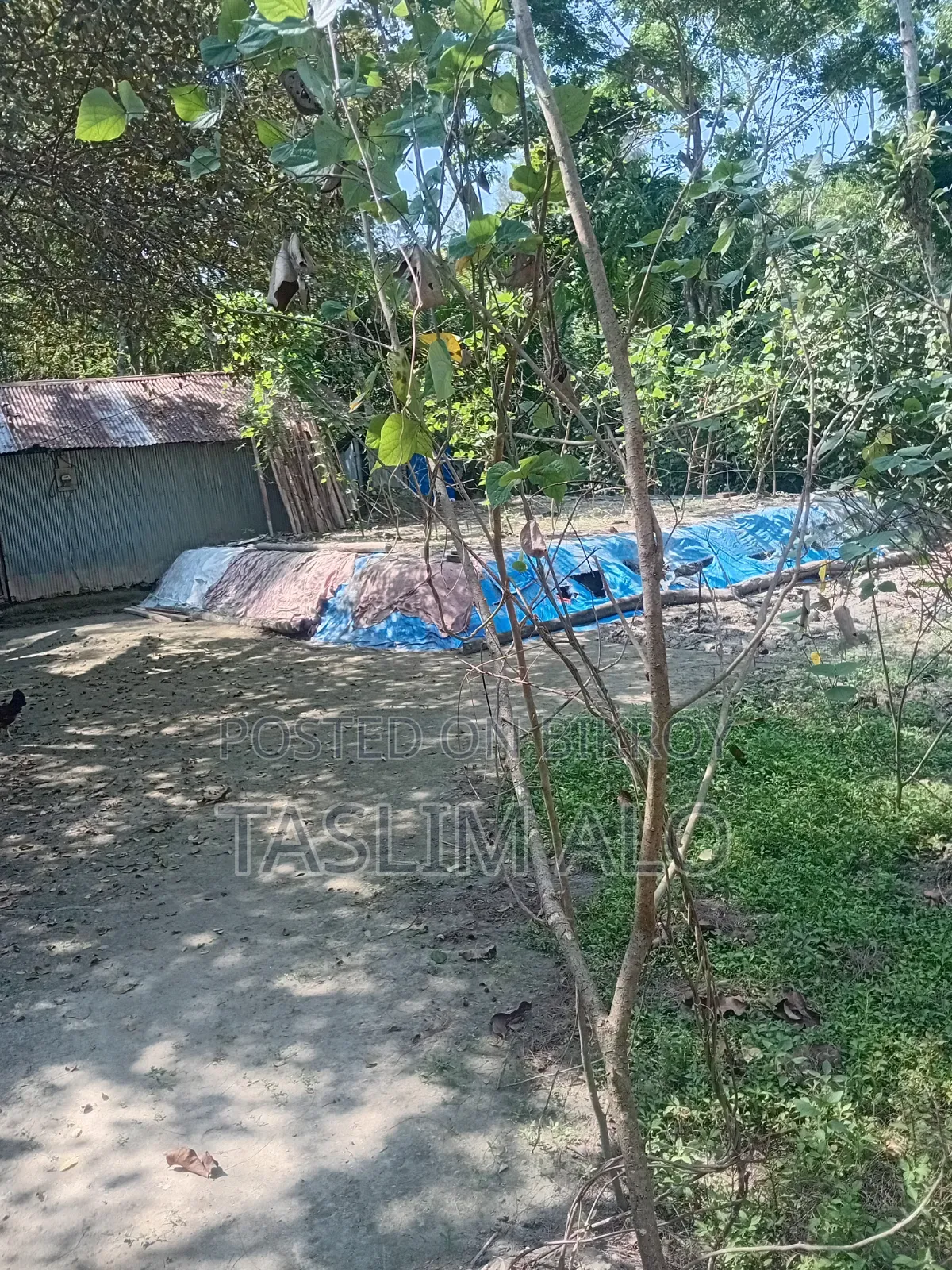 জায়গা বিক্রি