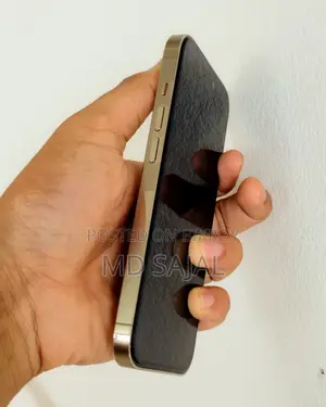 অ্যাপল আইফোন ১৪ প্রো ২৫৬ জিবি গোল্ড