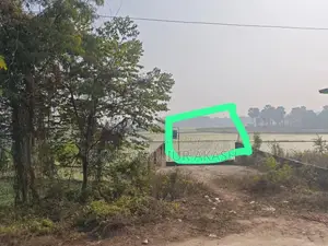 রিসোর্টের জন্য জমি!