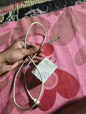 There are no problems with the charger Lost Melody