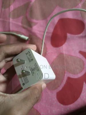 There are no problems with the charger Lost Melody