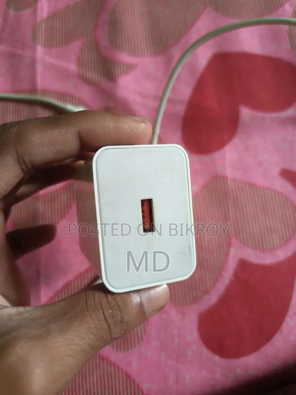 There are no problems with the charger Lost Melody