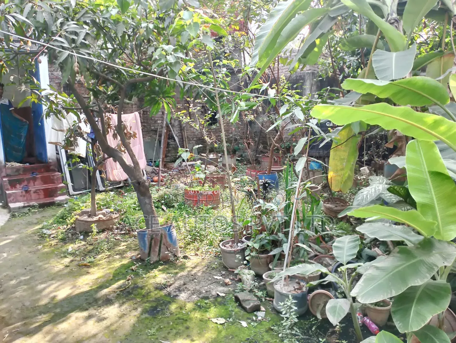 জমি বিক্রয় হবে – উত্তর বাড্ডা, তেতুলতলা রোড, ঢাকা