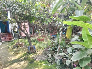 জমি বিক্রয় হবে – উত্তর বাড্ডা, তেতুলতলা রোড, ঢাকা
