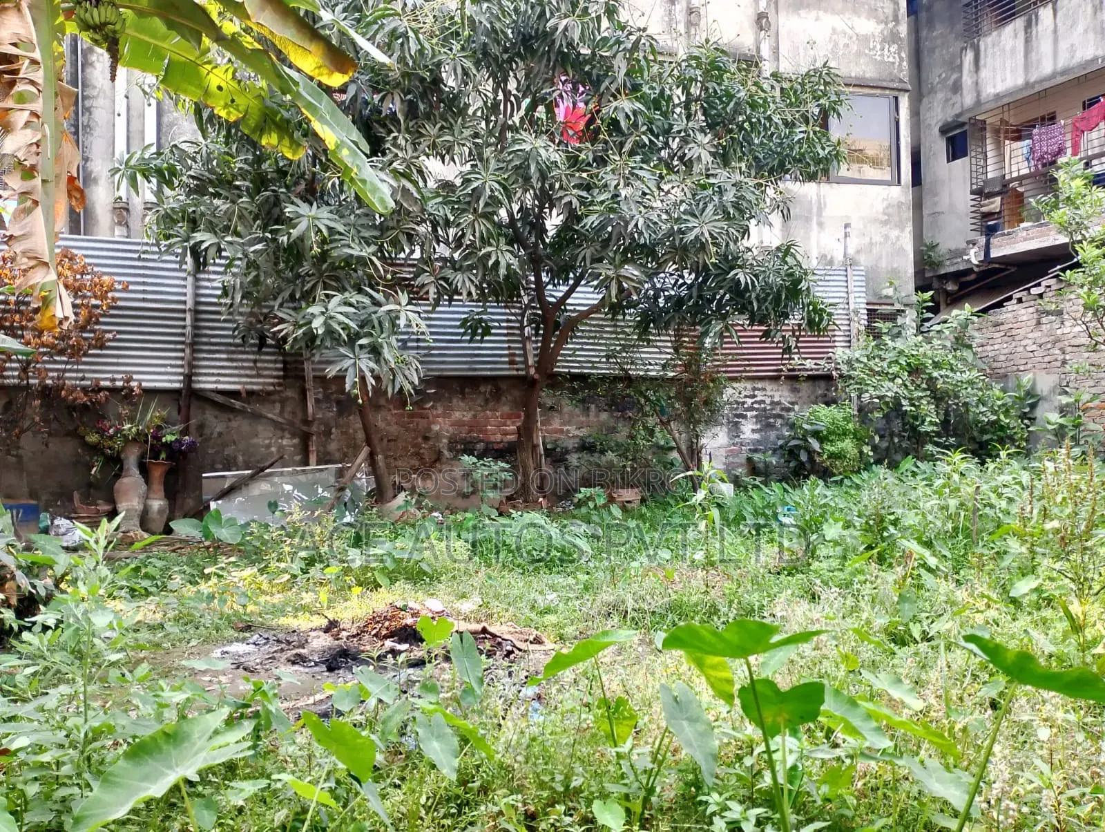জমি বিক্রয় হবে – উত্তর বাড্ডা, তেতুলতলা রোড, ঢাকা