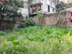 জমি বিক্রয় হবে – উত্তর বাড্ডা, তেতুলতলা রোড, ঢাকা