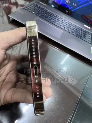 অ্যাপল আইফোন ১৩ প্রো ম্যাক্স ১২৮ জিবি গোল্ড