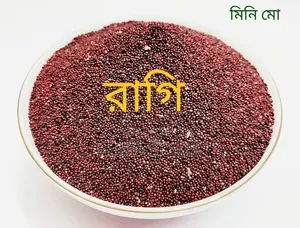Ragi Premium Dana