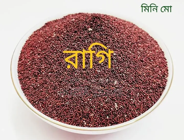 Ragi Premium Dana