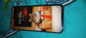 টেকনো স্পার্ক গো ৬৪ জিবি ব্ল্যাক