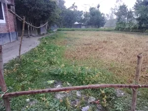 ১৫ শতক জমি তিনটা প্লটে বিক্রি করা হবে।