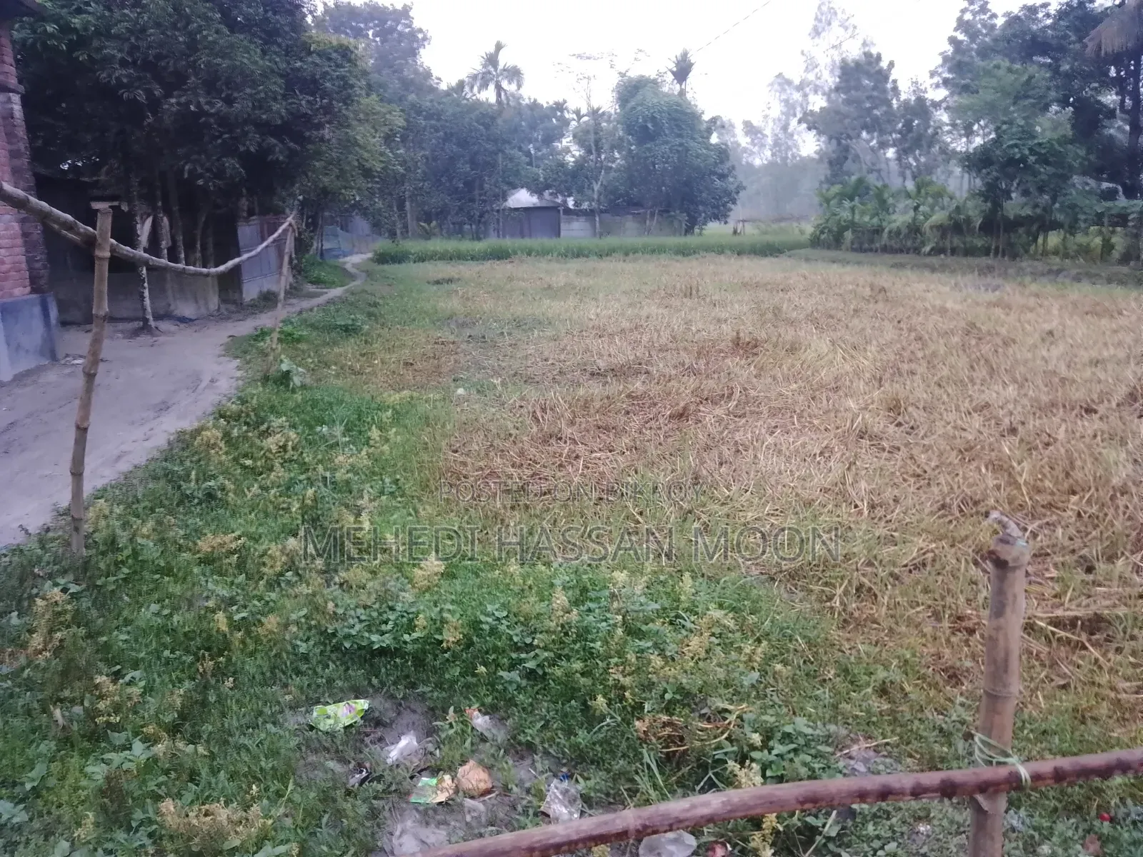 15 satok land will be sold in three plots.