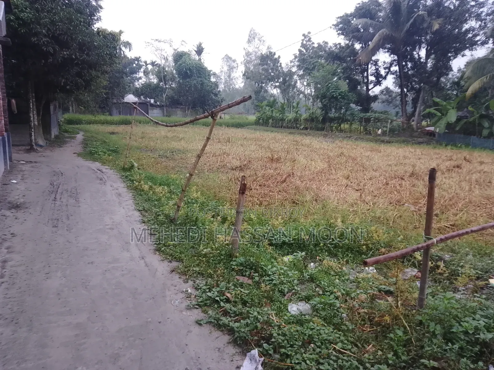 15 satok land will be sold in three plots.