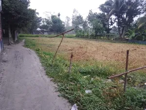 15 satok land will be sold in three plots.