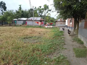 15 satok land will be sold in three plots.