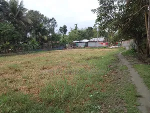 15 satok land will be sold in three plots.