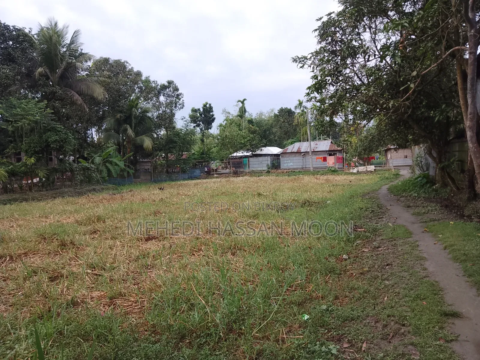 15 satok land will be sold in three plots.