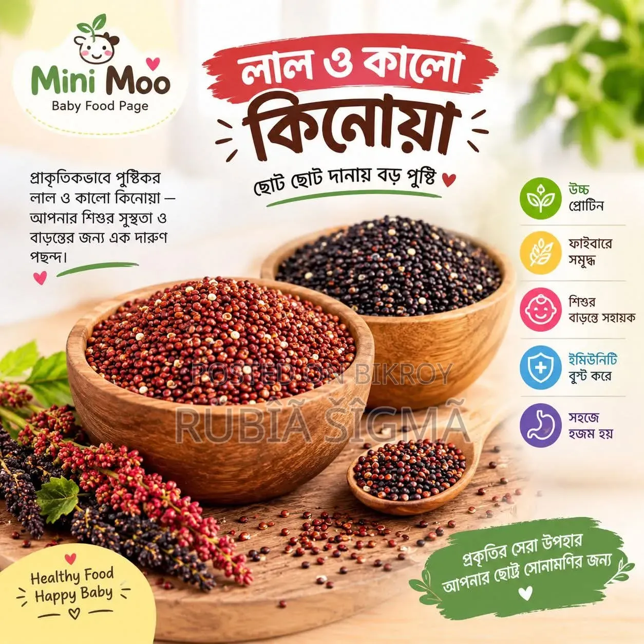 Red Black Quinoa